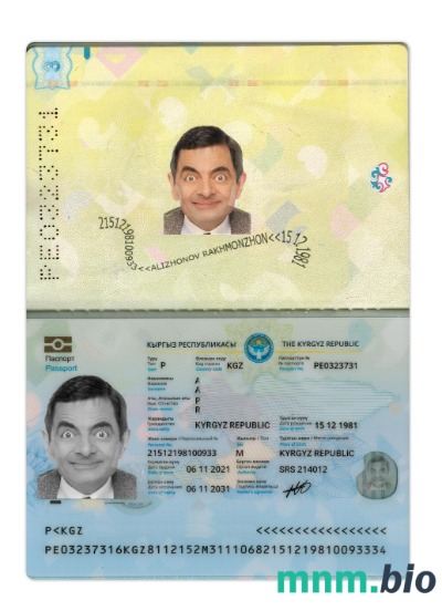 Paszport Kirgiski 2021-obecnie, szablon w formacie PSD